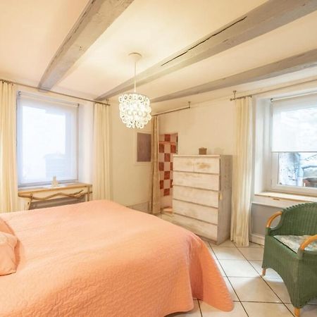 Apartment Classified 3 Stars Located In The Heart Of The Old Town Annecy Ngoại thất bức ảnh